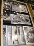 BD09Nat (279).JPG (81305 bytes)