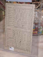 BD09Nat (491).JPG (64008 bytes)