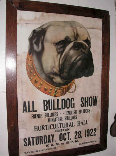 BullDogShow75.jpg (136888 bytes)