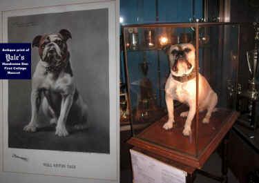 HDRightStitch75.jpg (198170 bytes)