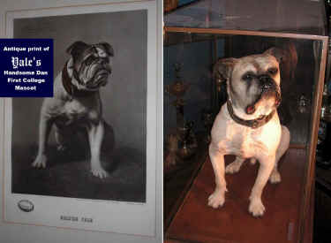 HDStitchLeft75.jpg (144065 bytes)