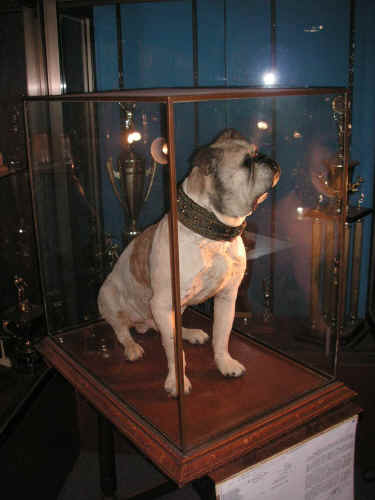 PICT1815_900x1200.jpg (156713 bytes)