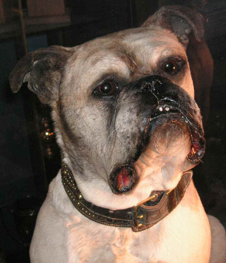 PICT1824_1200x900.jpg (183253 bytes)