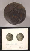 TunicliffLemonE.jpg (121956 bytes)